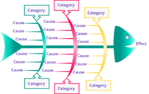 Fishbone Diagram